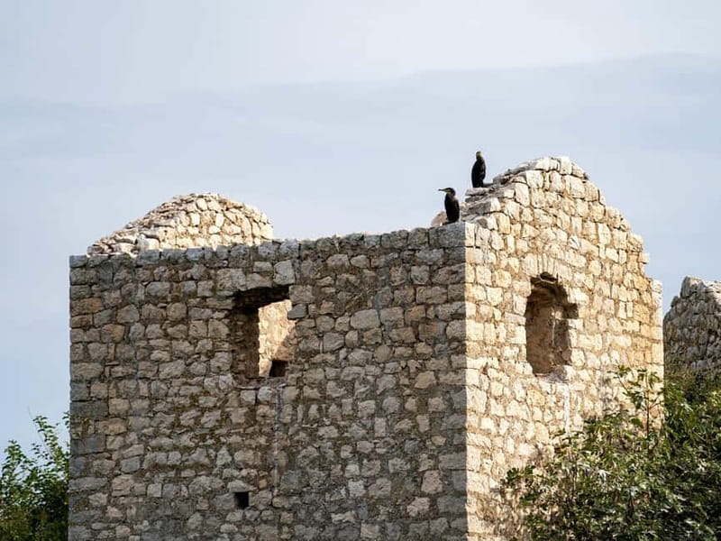 Short Skadar Lake Boat Tour to Morača River with Drinks - Reed channels and the first mountain views