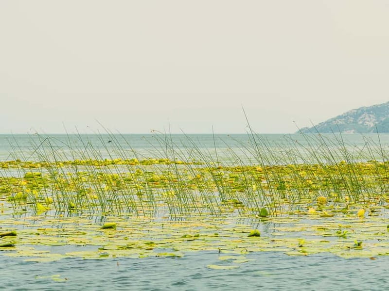 Short Skadar Lake Boat Tour to Morača River with Drinks - Lesendro Fortress from the water