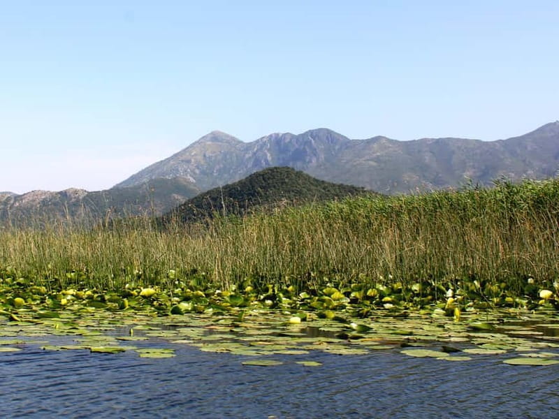 Short Skadar Lake Boat Tour to Morača River with Drinks - Grmožur and the open-water views