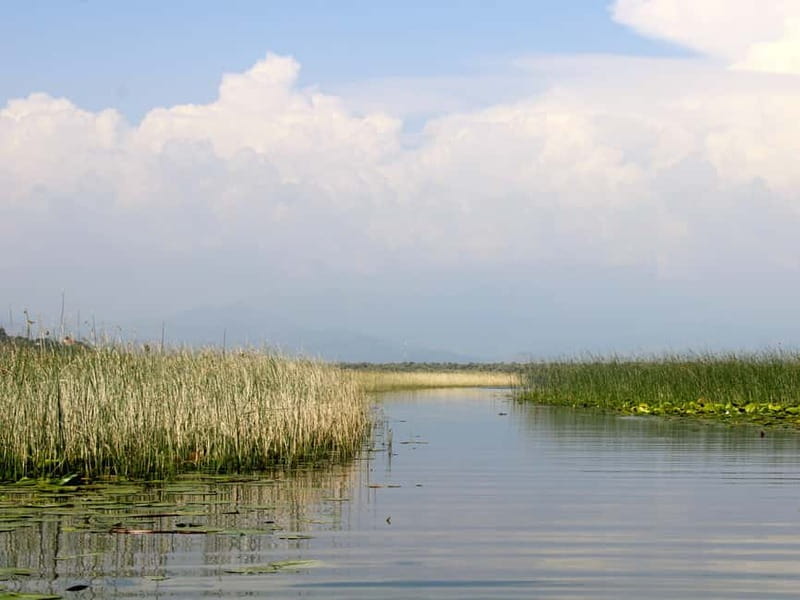 Short Skadar Lake Boat Tour to Morača River with Drinks - The 10-minute swim in Lake Skadar