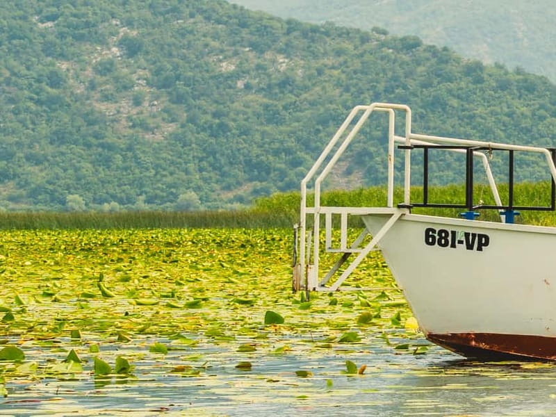 Short Skadar Lake Boat Tour to Morača River with Drinks - How the 90-minute schedule feels