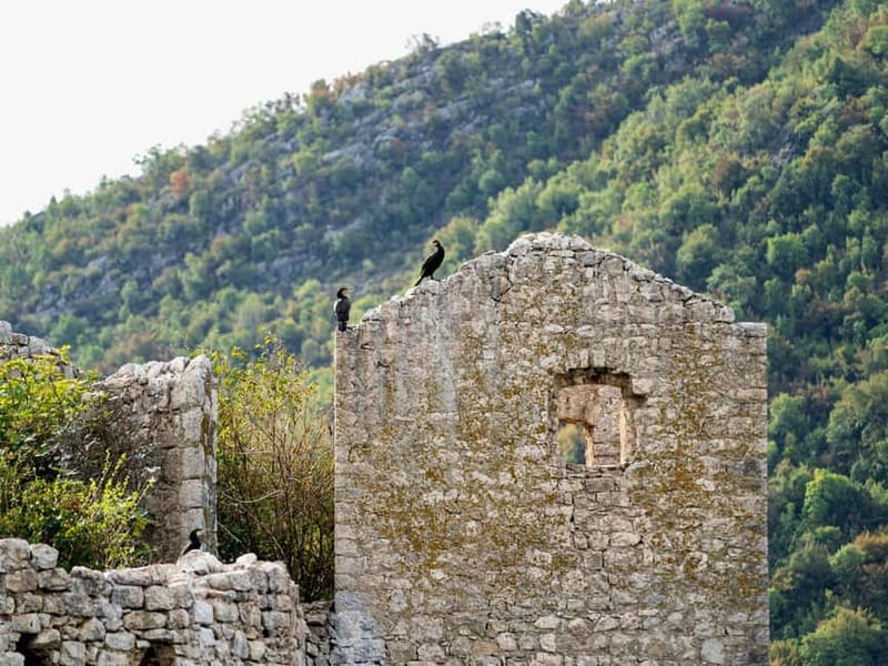 Short Skadar Lake Boat Tour to Morača River with Drinks - Who should book this boat trip