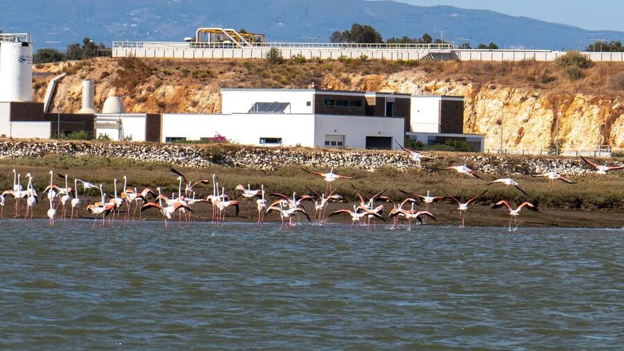 Silves History - Nature Boat Tour - free drink and Port wine - Booking details worth knowing