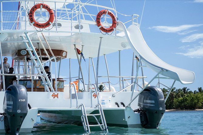 Small Group Snorkeling Cruise with Open Bar and Light Snacks - Families, first-time snorkelers, and older swimmers