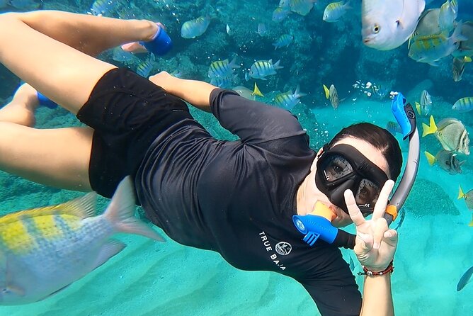 Snorkeling On Chilean Beach Transportation And Drinks Included - Key points at a glance