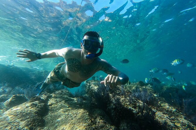 Snorkeling On Chilean Beach Transportation And Drinks Included - Pickup rules and planning details