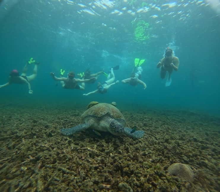 Snorkeling Tour with meals and BBQs - Cocktail - Sunset⭐⭐⭐⭐⭐ - Four stops for snorkeling, not one rushed swim