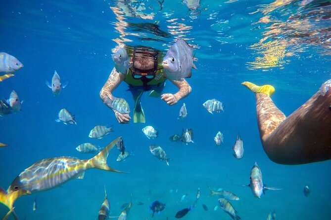 Sosua Party Boat -Snorkeling-Brunch-Drinks-Snacks-Transportation - Brunch, snacks, and an open drink menu