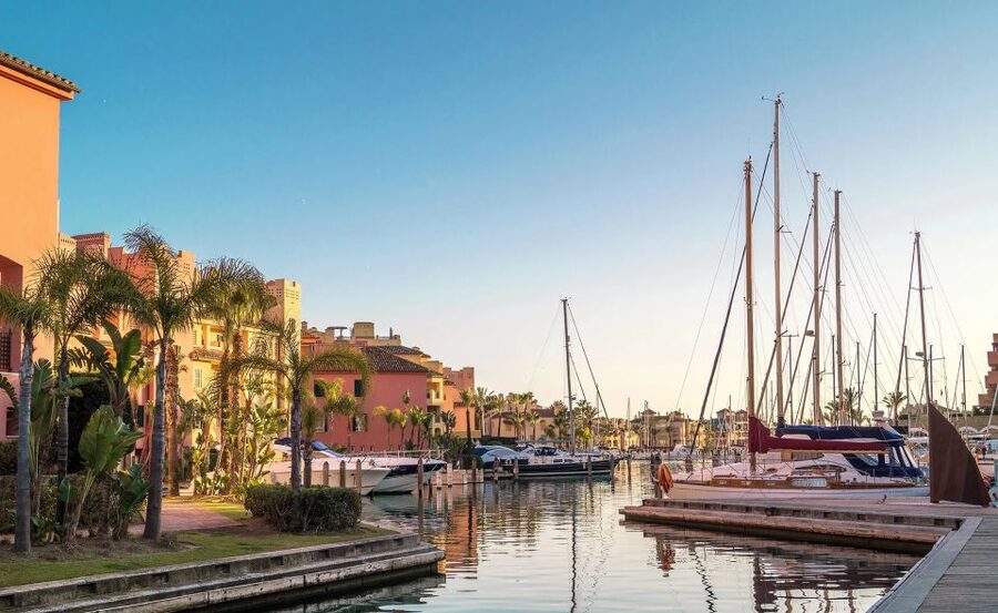 Sotogrande: Dolphin Watching Boat Trip with Drink - Key points to know before you book