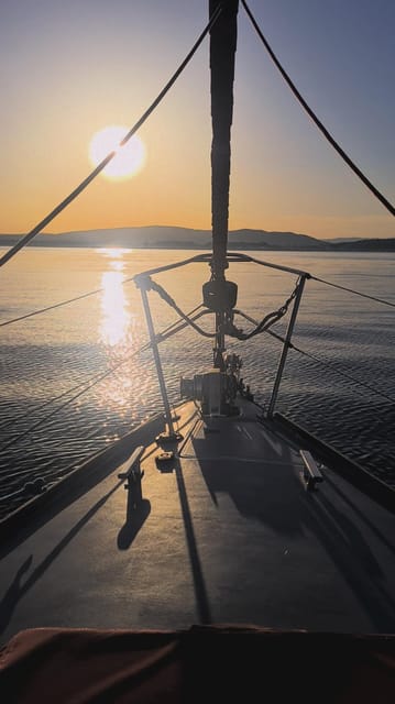Sotogrande: Dolphin Watching Boat Trip with Drink - Is $60 a fair price?