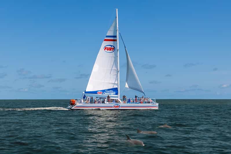 St. Augustine: Dolphin Watching Harbor Tour with Drinks - Why this short cruise works so well in St. Augustine