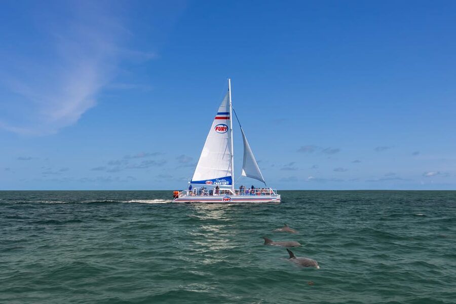 St. Augustine: Dolphin Watching Harbor Tour with Drinks - Seeing St. Augustine from the water