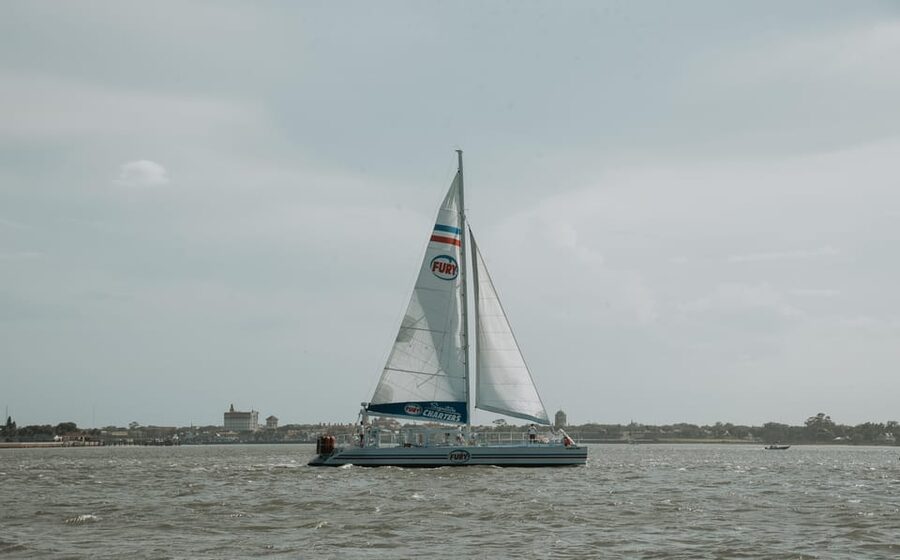 St. Augustine: Dolphin Watching Harbor Tour with Drinks - Who will enjoy this most