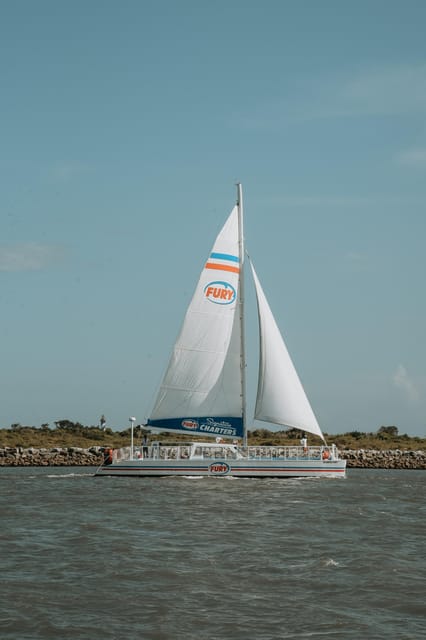 St. Augustine: Dolphin Watching Harbor Tour with Drinks - Smart planning for your day