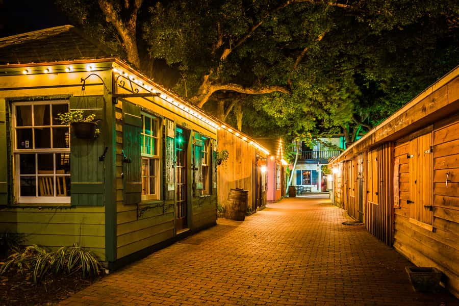 St. Augustine: Haunted Pub Crawl Walking Tour with a Guide - Who should book this experience