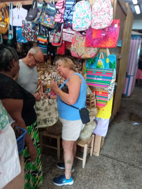 St. Lucia: Private Island Tour with Drinks & Transfers - Governor General’s Mansion and the island’s story