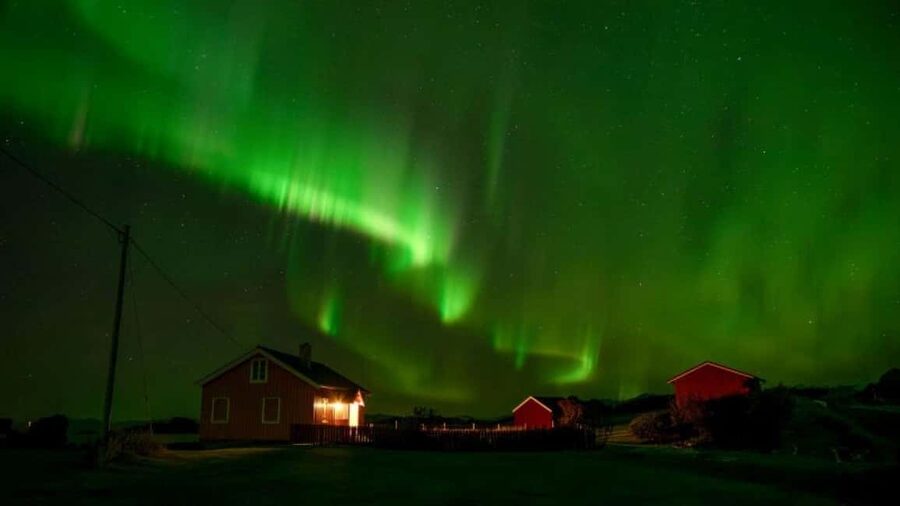 Svolvær: Northern Lights Tour with Hot Drinks & Photos - Key points to know before booking