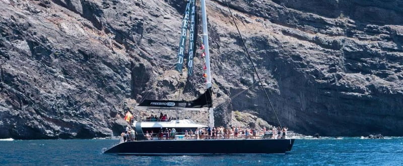 Tenerife: Catamaran Cruise with an Open Bar - Los Gigantes from the water