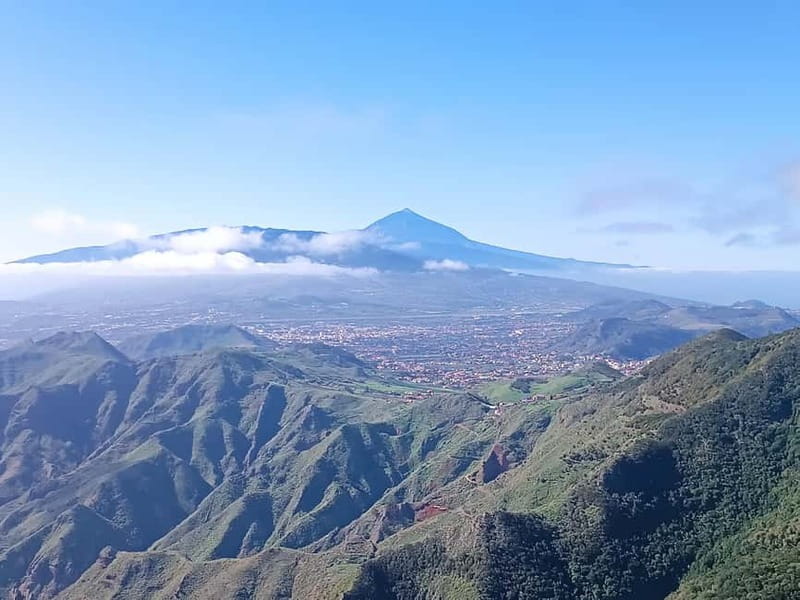 Tenerife Hidden Gem: Anaga Hike, Bajamar Pools & Cocktail - La Laguna market and the first taste of local life