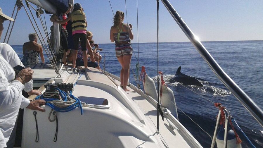 Tenerife: Private or Group 3 Hour Sailing Cruise with Drinks - Who will enjoy this cruise most?