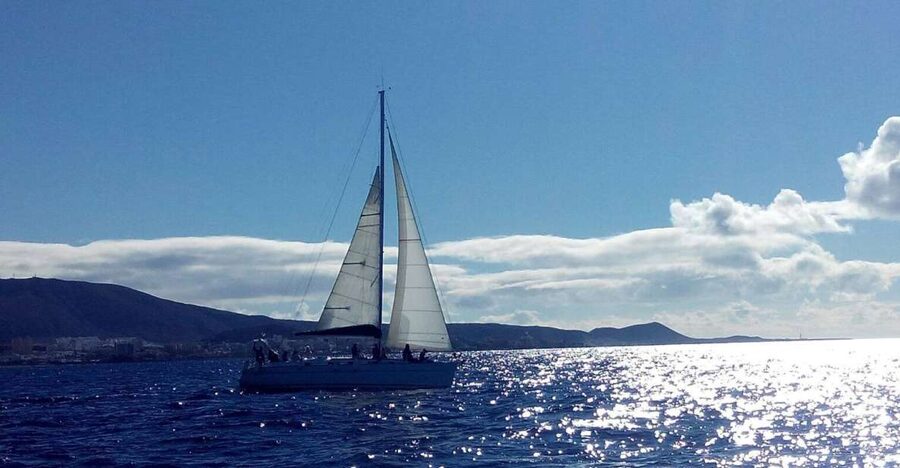 Tenerife: Private or Group 3 Hour Sailing Cruise with Drinks - Final call: should you book it?