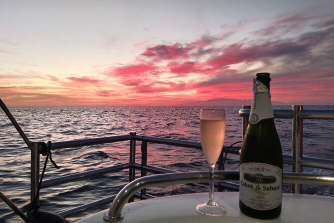 Tenerife Sunset Catamaran tour with transfer - Food and Drinks included. - Who Will Enjoy This Catamaran Most