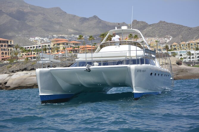 Tenerife Sunset Catamaran tour with transfer - Food and Drinks included. - Should You Book the Monte Cristo Catamaran?