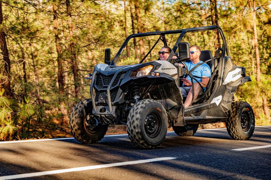 Tenerife: Teide Mountain Buggy On-Road GuidedTour with drink - From Chío to Teide, with a buggy between you and the view