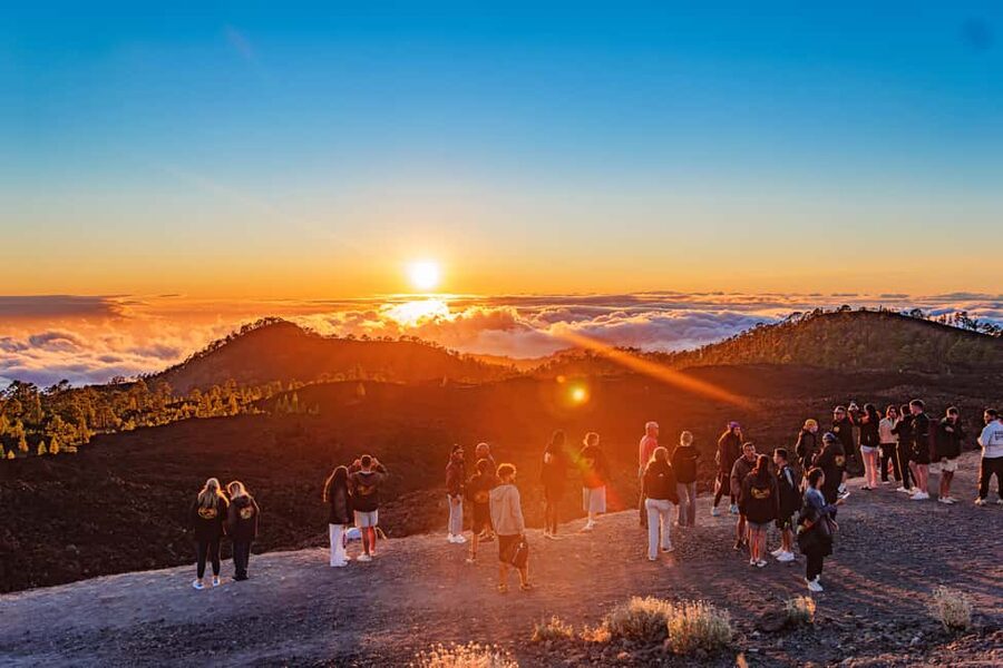 Tenerife: Teide Mountain On-Road Guided Quad Tour with drink - Key points to know before you book