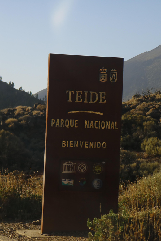 Tenerife: Teide Volcano Sunset Quad Bike Tour with Drinks - Riding from pine forest to volcanic ground