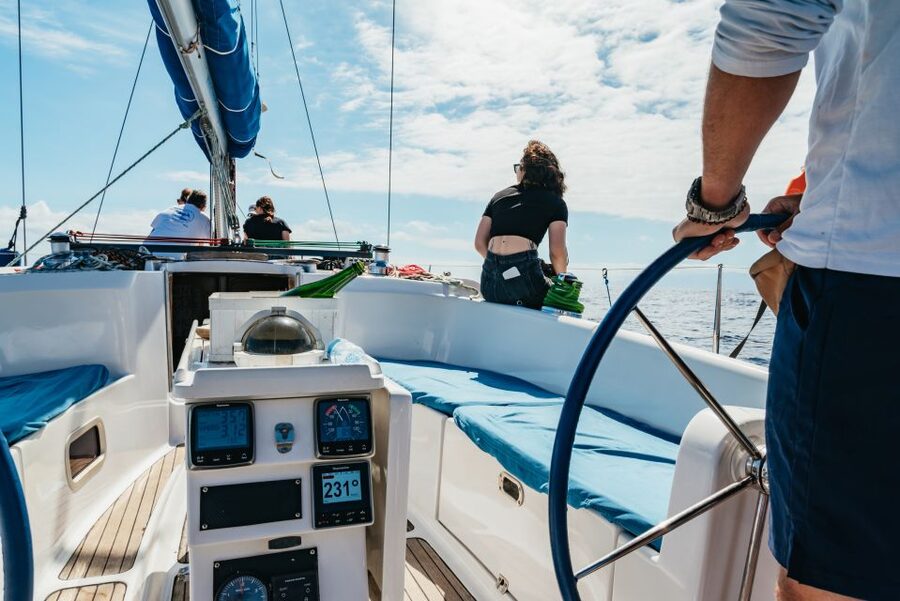 Tenerife: Whale & Dolphin Watching with Drinks and Snacks - My verdict on Tenerife whale and dolphin watching