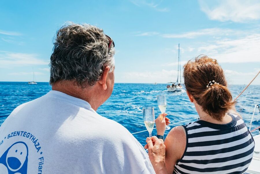 Tenerife: Whale & Dolphin Watching with Drinks and Snacks - The quiet bay and the swimming stop