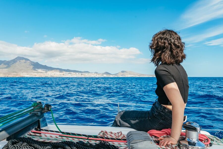 Tenerife: Whale & Dolphin Watching with Drinks and Snacks - Food, drinks, and the value of $77