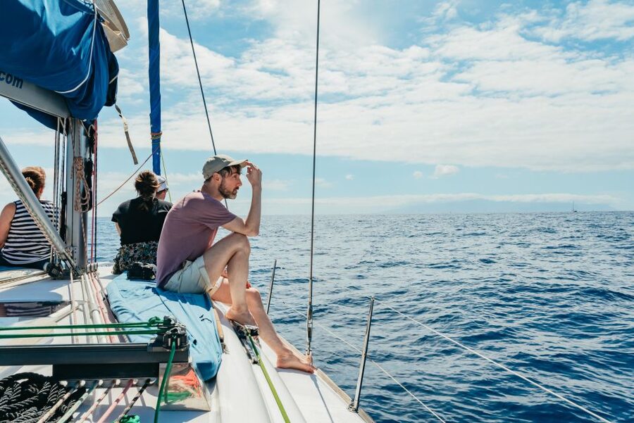 Tenerife: Whale & Dolphin Watching with Drinks and Snacks - Handling seasickness and choosing your seat