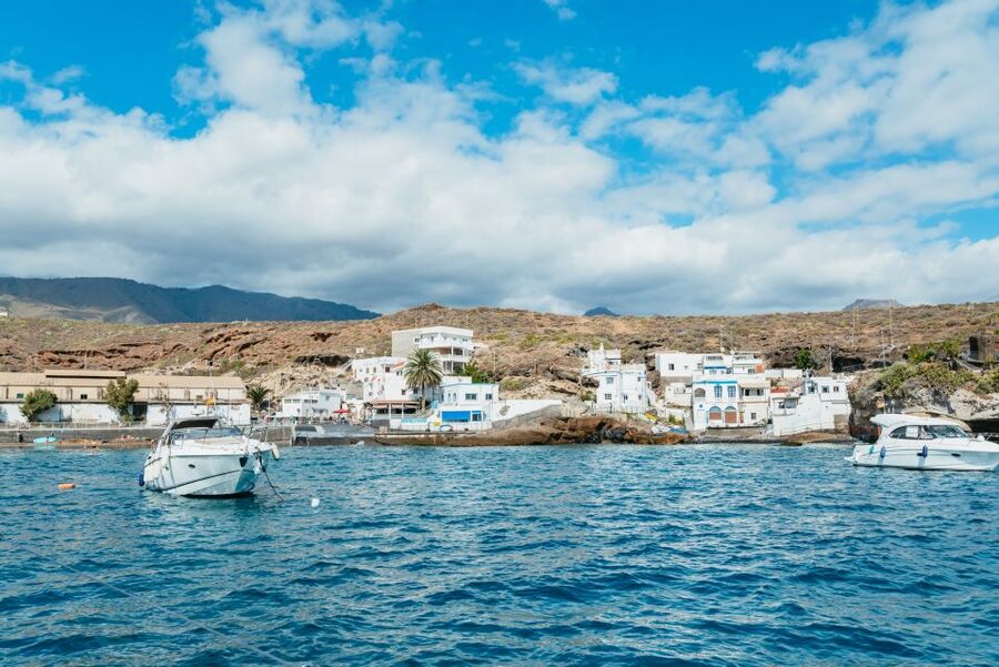 Tenerife: Whale & Dolphin Watching with Drinks and Snacks - What to bring and what not to expect