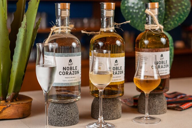 Tequila Tasting and Mixology Experience in Cancun - What this one-hour tequila class is really about