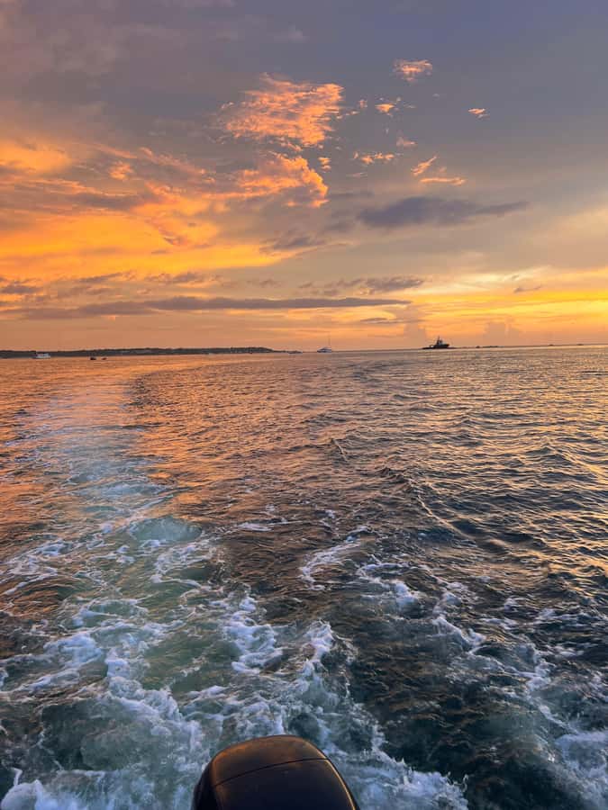 The best sunset tour in the bay: Open bar party & fun - The open bar and Colombian drink choices