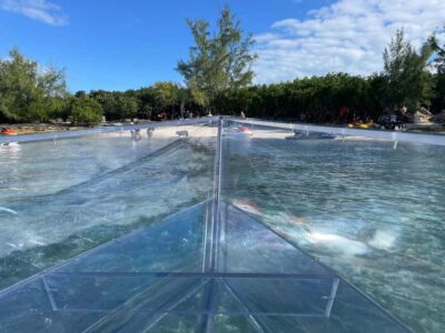 The Clear Boat Experience Bahamas drinks and snacks included