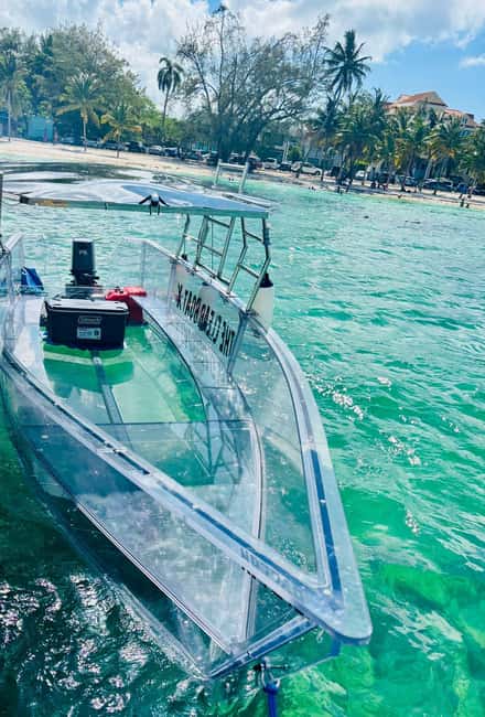 The Clear Boat Experience Bahamas drinks and snacks included - Athol Island and the swimming pigs