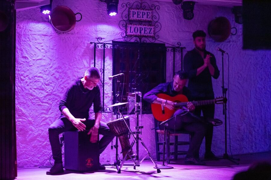 Torremolinos: Flamenco Show with Drinks - Who Will Enjoy This Torremolinos Evening?