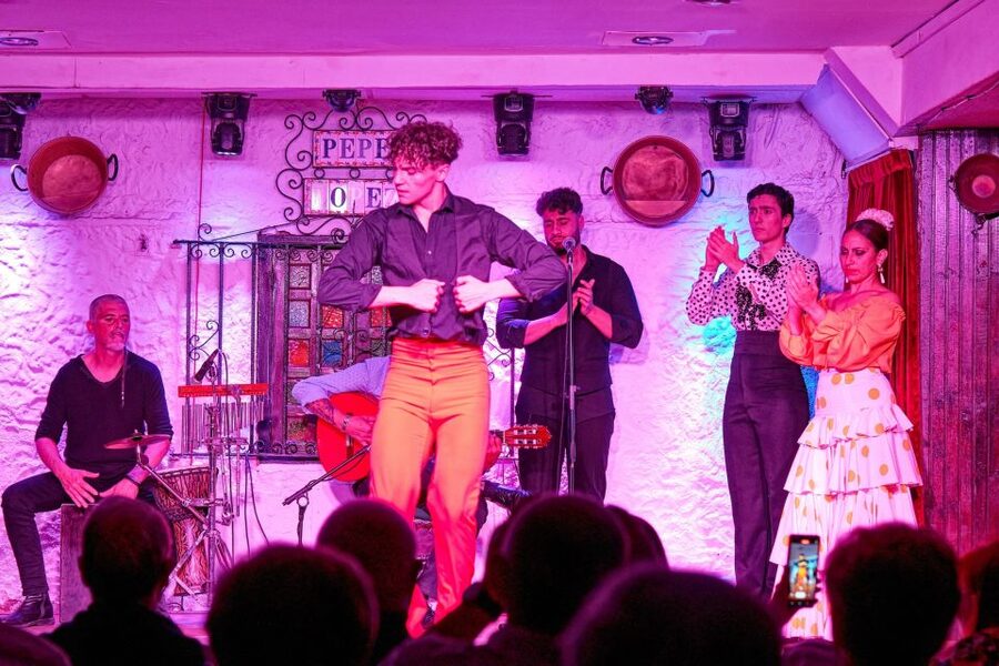 Torremolinos: Flamenco Show with Drinks - Should You Book the Pepe López Flamenco Show?