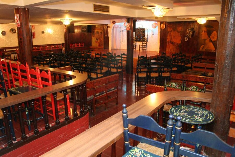 Torremolinos: Flamenco Show with Drinks - The Dancing, Music, and Emotional Range