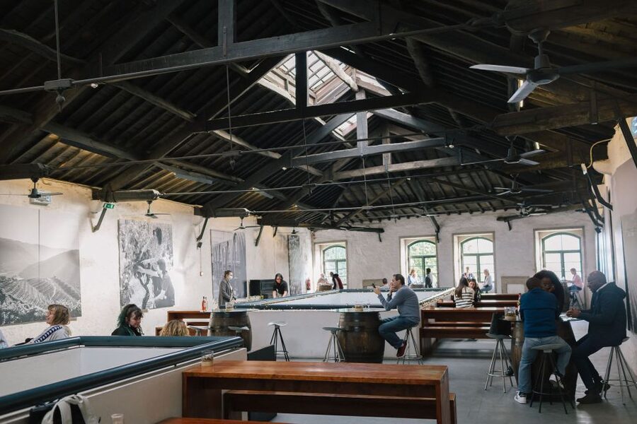 Vila Nova de Gaia: Cocktail Making Workshop - Making a Porto Tonic at Quevedo