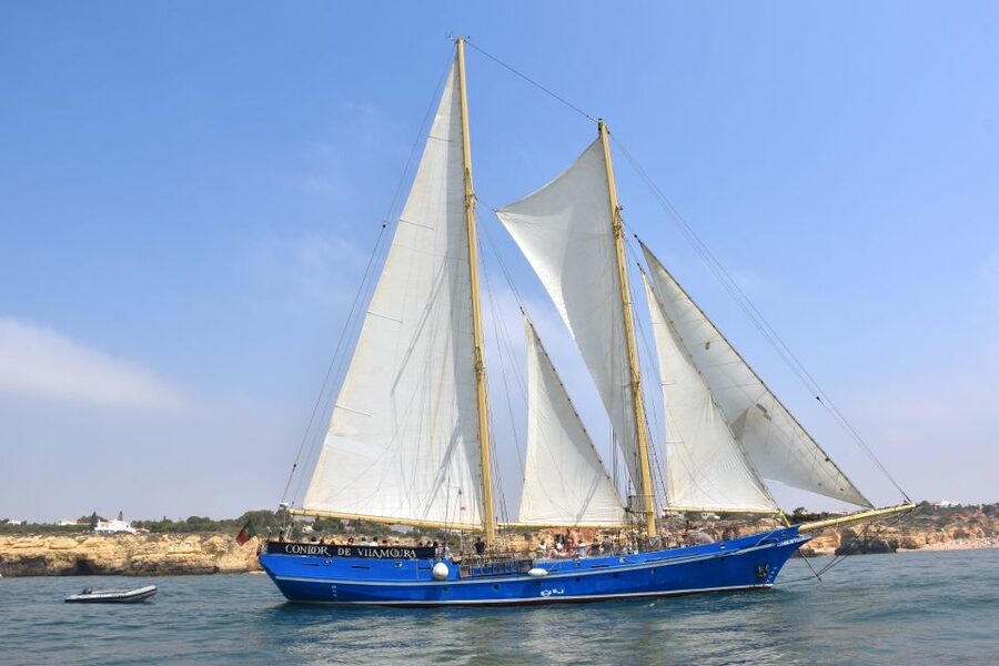 Vilamoura: Algarve Coast 3-Hour Sailing Cruise With Open Bar - Who should book this cruise?