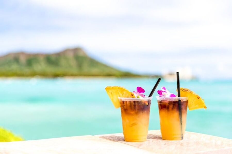 Waikiki Sunset Cocktail Cruise with Drinks and Appetizers - The Southbound Run Toward Diamond Head