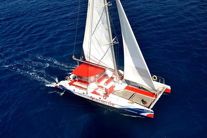 Watching and Listening Whales visiting Los Gigantes&Masca. Food&drinks included - Key points to know before you book