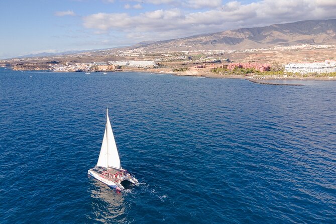 Watching and Listening Whales visiting Los Gigantes&Masca. Food&drinks included - Comfort, crew, and the size of the boat