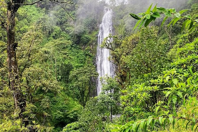 Waterfall, coffee tour & hot springs - lunch and drinks included - What Frank Adds to the Day