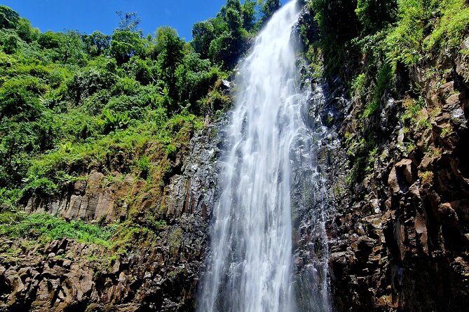 Waterfall, coffee tour & hot springs - lunch and drinks included - Who Will Enjoy This Most?