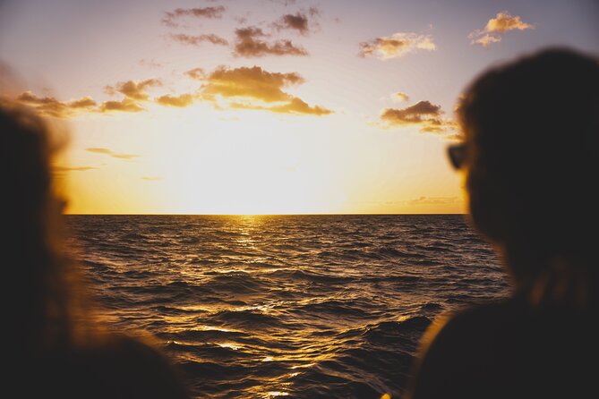 West Oahu Sunset Cocktail Cruise with Appetizers - Dolphins, turtles, whales, and the limits of wildlife watching